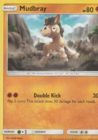 Pokemon Card: Mudbray