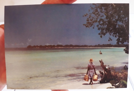 Jamaica Postcard (blank, unused)