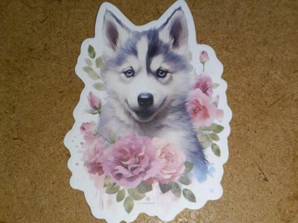 Dog Cute nice one vinyl sticker no refunds regular mail only Very nice quality!