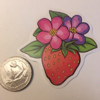 Strawberry sticker read description before bidding 
