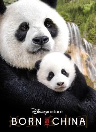 Disneynature: Born in China HD movies anywhere code only 