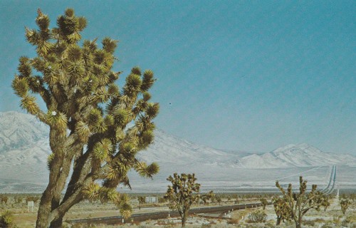 Vintage Unused Postcard: (gin8): Interstate Highway 15, Mojave to Las Vegas