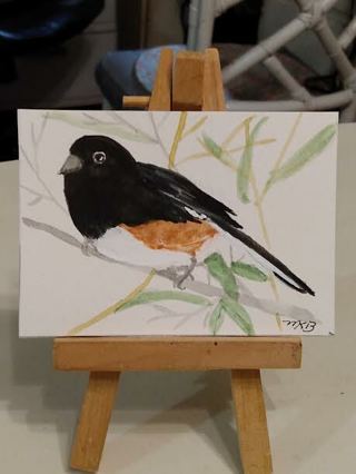 Original, Watercolor Painting " 2-1/2 X 3-1/2" ACEO Eastern Towhee Bird by Artist Marykay Bond