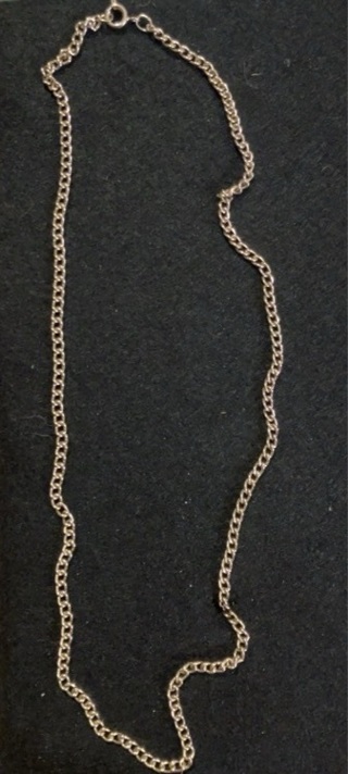 18in Silver Colored Necklace