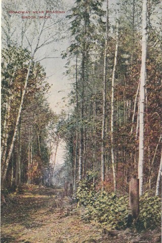 Vintage Unused Postcard: gin: Pre Linen: Roadway near Roaring Brook, MI