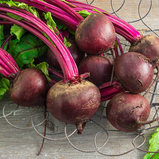 DETROIT BEETS 