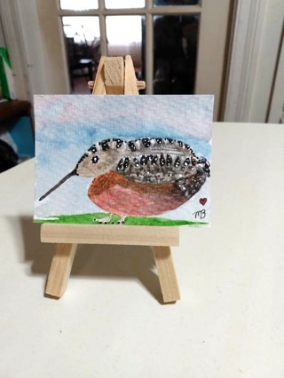 ACEO Original Watercolor Painting Illustration 2-1/2 X 3/1/2 American Woodcock by Artist Bond