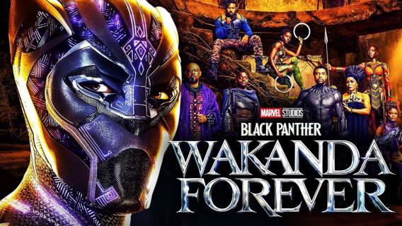 Black Panther 2 Wakanda Forever HDX. LOWEST PRICE on the site!