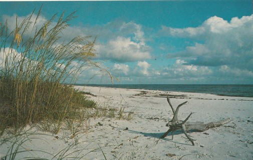 Vintage Unused Postcard: h: Virginia Beach, VA