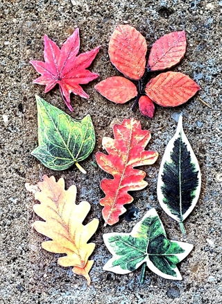 3 D COLORFUL LEAVES STICKERS STYLE 2