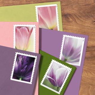 ✅Brand New ⭐ Forever Stamps + Envelopes ♥️