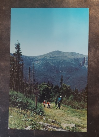 Pinkham Notch Postcard 