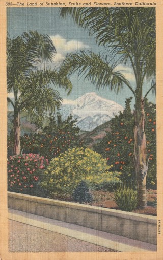 Vintage Unused Postcard: L: Southern California