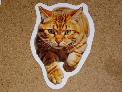 Cat Cute one new vinyl sticker no refunds regular mail win 2 or more get bonus