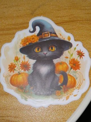 Cat new one vinyl lap top sticker no refunds regular mail very nice quality