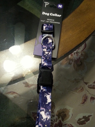 New medium dog collar