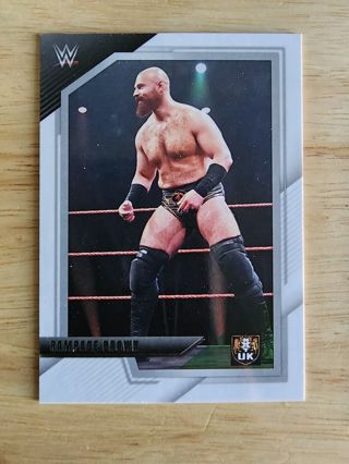 NXT Rampage Brown #40