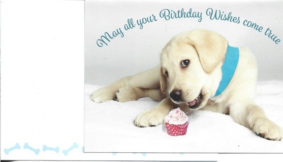 Brand New Never Been Used Birthday Greeting Card With Matching Envelope