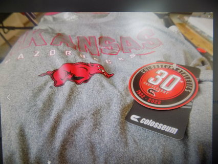 NWT Mens Arkansa Razorbacks Colusem Athletics 305h anniversary  T shirt Sz  XX2