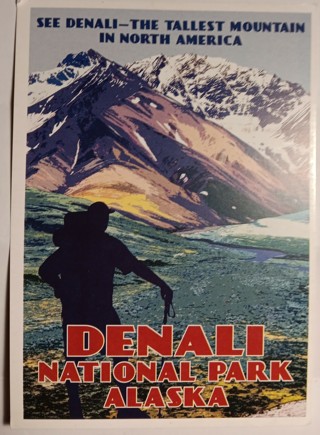 Denali National Park Alaska  Post Card