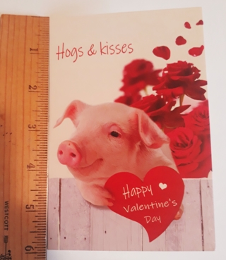 ❤️ Valentine's Day Card (Pig) w/Envelope + BONUS Stickers ❤️
