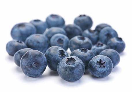 4 Blueberry Recipes