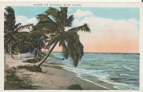 Vintage Unused Postcard: e: East Coast of Florida