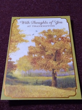 Thanksgiving Card - Thoughts