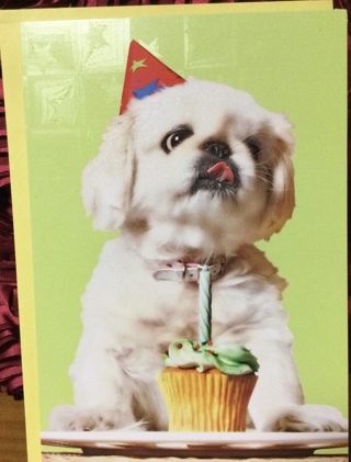 Puppy with Cupcake Birthday Card