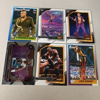 (6) Wrestling Trading Cards Lot