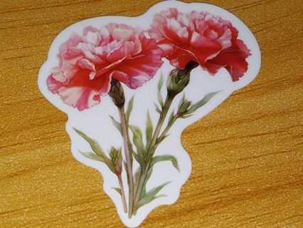 Flower one vinyl sticker no refunds regular mail Win 2 or more get bonus