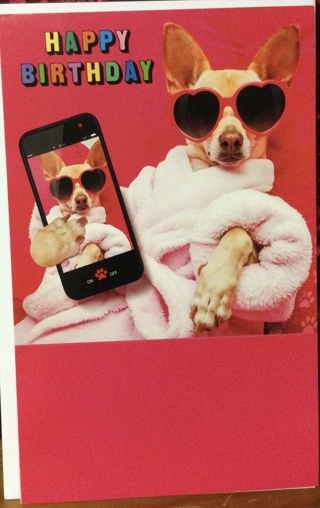 Happy  Birthday Dog Taking Selfie Card