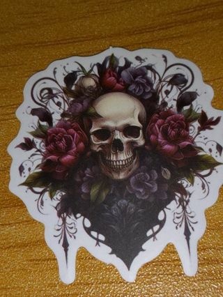 Beautiful new vinyl lap top sticker no refunds regular mail only very nice quality