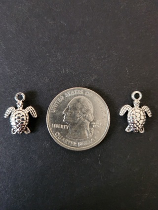 (2) Sea Turtle Charms!