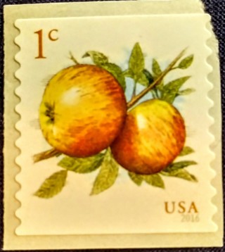 NICE OLD MNH 1c STAMP