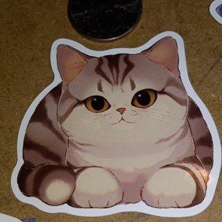 Cat Cute new vinyl sticker no refunds regular mail only Very nice these are all nice