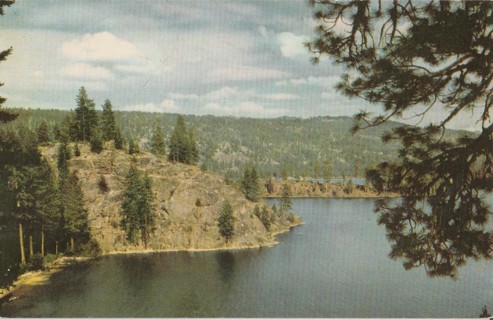 Vintage Unused Postcard: y: Payette Lake, ID