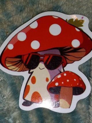 Adorable 1⃣ new vinyl sticker no refunds regular mail win 2 or more get bonus