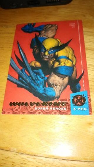 Wolverine