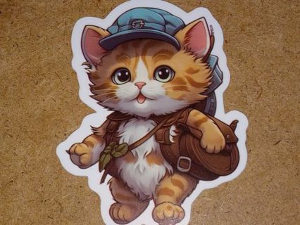 Cat Cute one new vinyl lap top stickers no refunds regular mail very nice