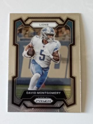 Two Detroit Lions Montgomery And Sanders Football Cards