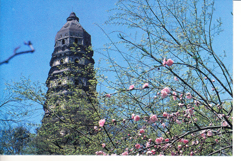 Vintage Postcard Tiger Hill, China