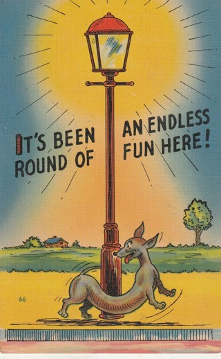 Vintage Unused Postcard: c: Comic:  Endless Round Of Fun Here