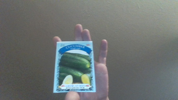 cucumber straight eight