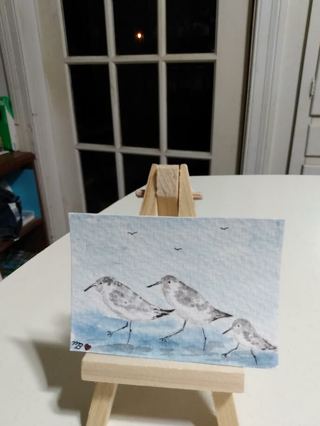 ACEO Original Watercolor Painting 2-1/2 X 3/1/2 Family of Sandpipers Shore Birds by Artist Marykay 