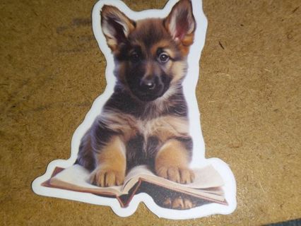 Cute new 1⃣ nice vinyl sticker no refunds regular mail only Very nice quality!