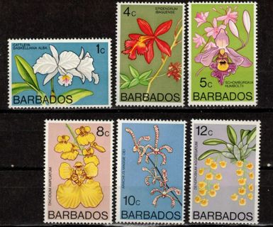 Barbados Orchids 1974