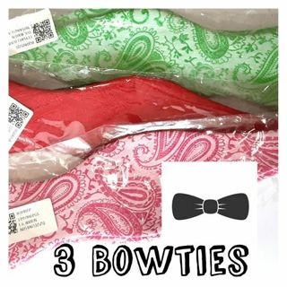 ~ Set Of 3 Adult Paisley Bowties ~