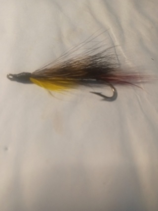 Fishing Fly