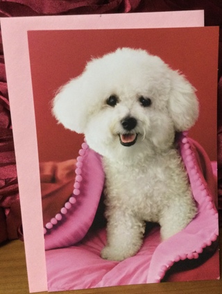 White puppy birthday card